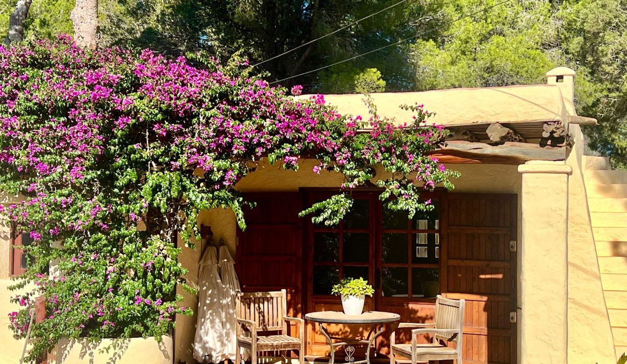 cw-ibiza-17274359931152968