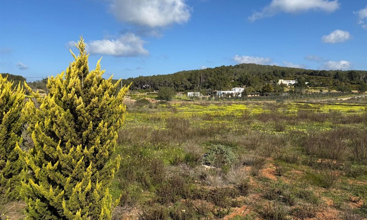 cw-ibiza-1744204575116814charming-countryside-home-near-santa-gertrudis_(15)