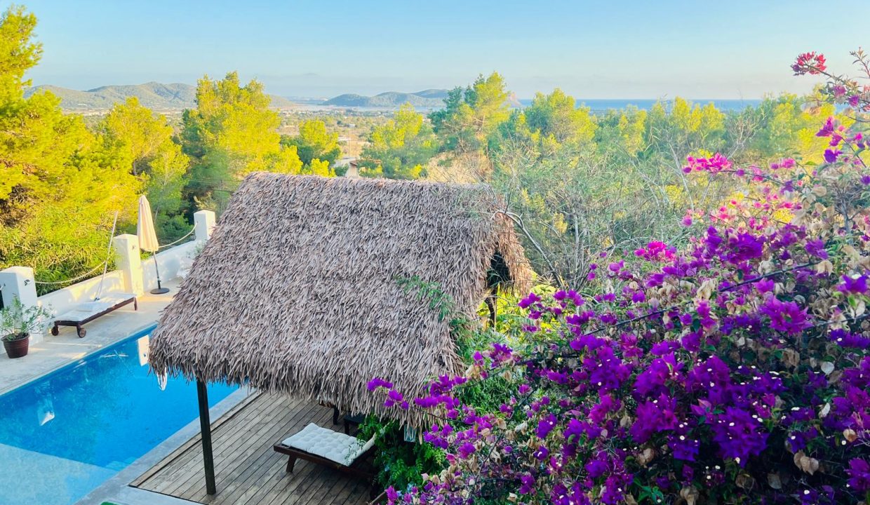 cw-ibiza-17452238331169443